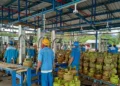 Distribusi Elpiji Melon Diatur Ketat