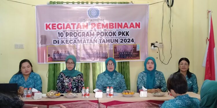 Melly Novita Lakukan Pembinaan 10 Program PKK ke Kecamatan Pematang Karau