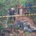 Heboh! Warga Desa Rodok Ditemukan Tewas di Kebun Karet