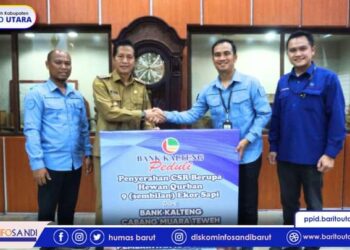 Pemkab Barut Terima CSR Sapi Kurban dari PT Bank Kalteng Cabang Muara Teweh