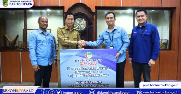 Pemkab Barut Terima CSR Sapi Kurban dari PT Bank Kalteng Cabang Muara Teweh