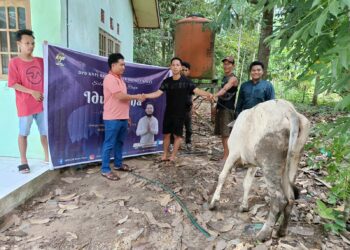 Adi Garoe Sumbangkan 20 Ekor Sapi untuk Kurban di Lima Kecamatan