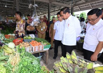 Presiden Jokowi Kunjungi Pasar Temanggoeng Djaja Karti dan RSUD Tamiang Layang