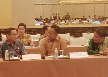 Tahun 2024, Seratus Persen Desa di Barito Timur Akan Teraliri Listrik