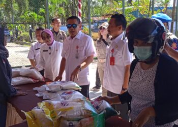 Pj Bupati Barito Timur, Indra Gunawan, didampingi Kepala Dinas Ketahanan Pangan Provinsi Kalteng, Aster Bonawaty Mangkusari meninjau gelaran pasar murah, Rabu (12/6/2024).