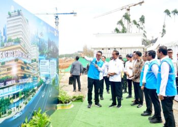 Presiden Jokowi : Fokus pada Pengembangan Energi Hijau di Ibu Kota Nusantara