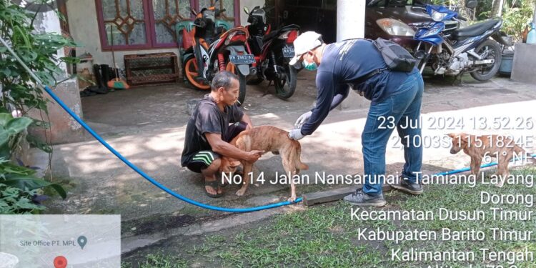 Barito Timur Laksanakan Vaksinasi Rabies Massal untuk Hewan Peliharaan
