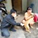 Kasus Gigitan Anjing Positif Rabies di Desa Haringen