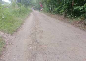 Protes Warga Desa Matabu Terkait Jalan Rusak Mereda, Perbaikan akan Segera Dilakukan