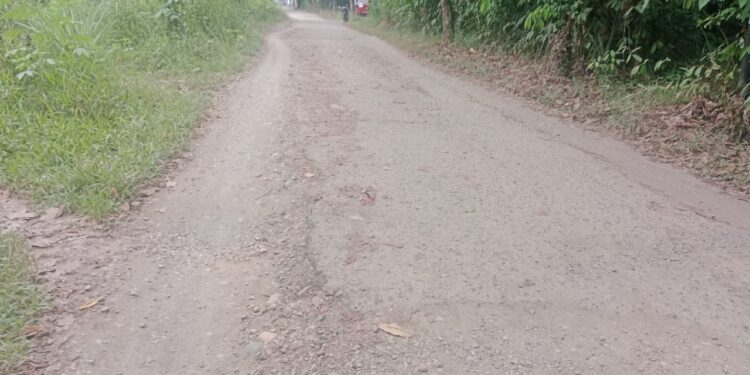 Protes Warga Desa Matabu Terkait Jalan Rusak Mereda, Perbaikan akan Segera Dilakukan