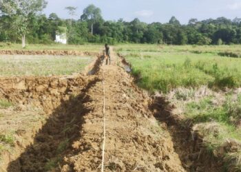 Pemerintah Pusat Alokasikan Rp7 Miliar untuk Optimalisasi Pertanian di Barito Timur