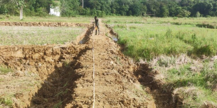 Pemerintah Pusat Alokasikan Rp7 Miliar untuk Optimalisasi Pertanian di Barito Timur