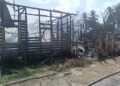 Si Jago Merah Hanguskan Rumah di Gang Damai, Tamiang Layang