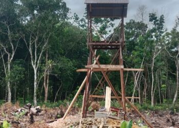 Rimau Group Bangun Sumur untuk Masyarakat Desa Matabu