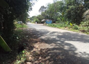 Jalan Desa Murutuwu Mulus, Warga Paju Epat Sambut Gembira