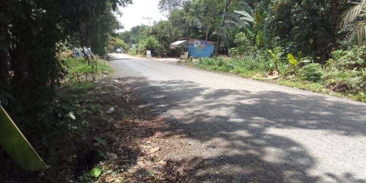 Jalan Desa Murutuwu Mulus, Warga Paju Epat Sambut Gembira