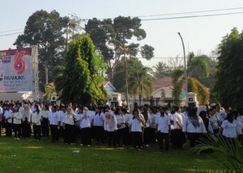 1.511 Pelamar CPNS di Barito Timur Lolos Seleksi Administrasi, Siap Ikuti Tes SKD