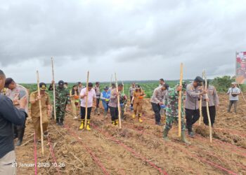 CAA Group Dukung Program Penanaman Satu Juta Hektare Jagung Nasional di Barito Timur