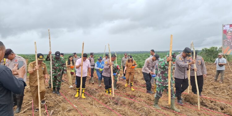 CAA Group Dukung Program Penanaman Satu Juta Hektare Jagung Nasional di Barito Timur
