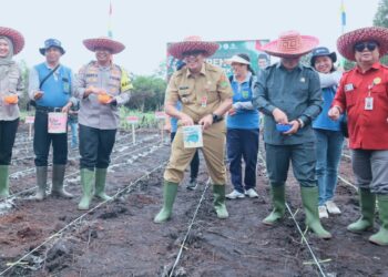 Barito Timur Siap Tingkatkan Produktivitas Jagung Nasional