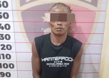 Gagal Perkosa Ibu Rumah Tangga, Pria Ini Diamankan Polisi