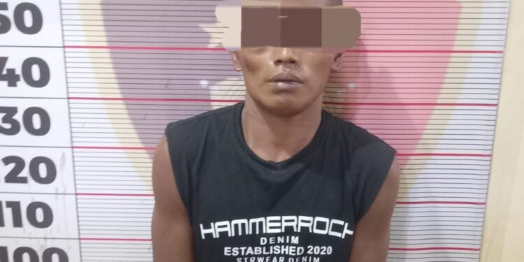 Gagal Perkosa Ibu Rumah Tangga, Pria Ini Diamankan Polisi
