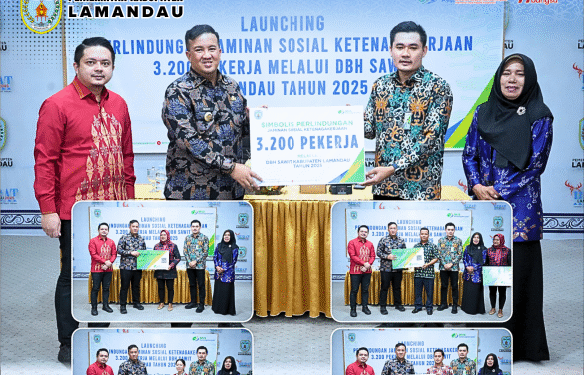 DBH Sawit Dimanfaatkan Lindungi 3.200 Pekerja di Lamandau