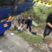 Truk Terparkir, Sopir Ditemukan Tak Bernyawa di Semak Pinggir Jalan Desa Unsum