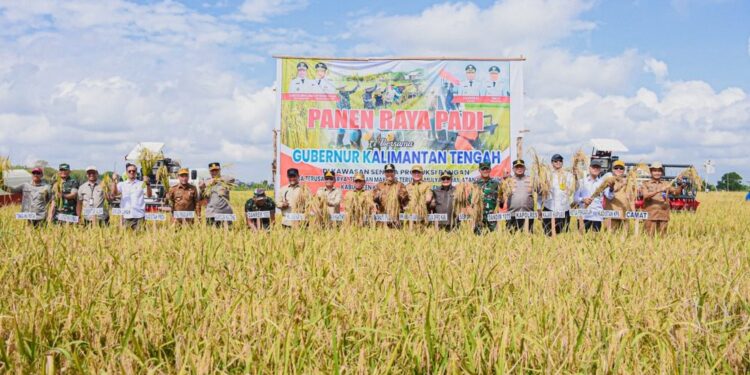 Gubernur Agustiar Dukung Bataguh Jadi Sentra Pangan