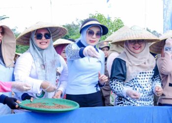 Ketua TP-PKK Kalteng Aisyah Thisia Agustiar Sabran menebar pakan untuk benih ikan lele di Taman PKK Palangka Raya.