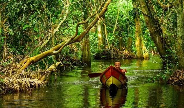 Susur Sungai Jukung Wisata Pasuha Pulau Patai Barito Timur.