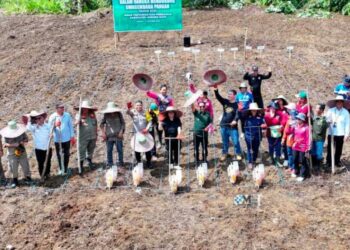 Bupati Murung Raya, Heriyus, saat menanam jagung hibrida di Kelurahan Saripoi, Kecamatan Tanah Siang, Selasa (14/10/2025).