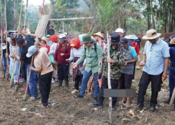 Bupati Murung Raya, Heriyus, bersama Forkopimda saat menanam padi gogo di Kelurahan Saripoi, Kecamatan Tanah Siang.