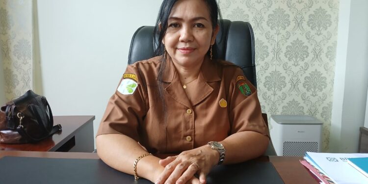 Direktur RSUD Tamiang Layang, dr. Vinny Safari.