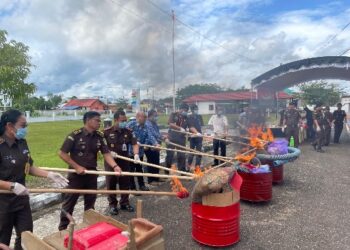 Kepala Kejaksaan Negeri Barito Timur Rahmad Isnaini, S.H., M.H., bersama jajaran memusnahkan barang bukti perkara tindak pidana umum yang telah berkekuatan hukum tetap di halaman Kantor Kejari Barito Timur, Rabu (17/12/2025). (FOTO: Intel Kejari Bartim)
