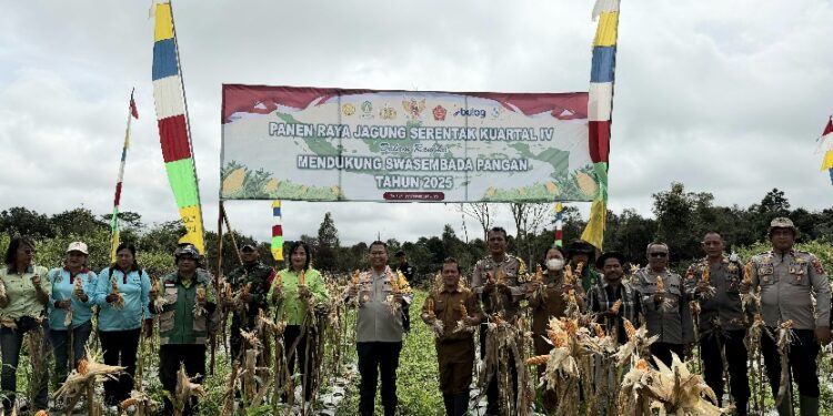 Polres Barito Timur bersama pemerintah daerah dan kelompok tani melaksanakan Panen Raya Jagung Serentak Kuartal IV di Desa Murutuwu, Kecamatan Paju Epat, Senin (22/12/2025). (FOTO: HUMAS POLRES BARTIM)