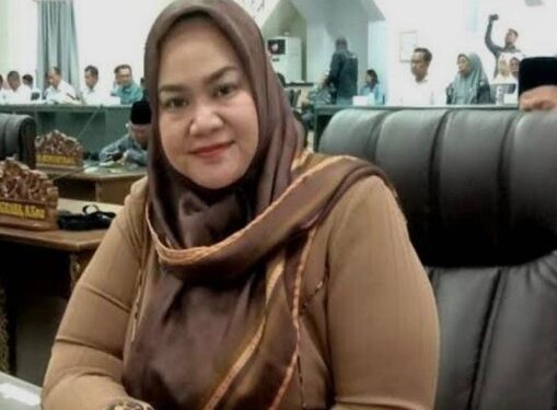Anggota DPRD Kabupaten Barito Utara, Wardatun Nur Jamilah.