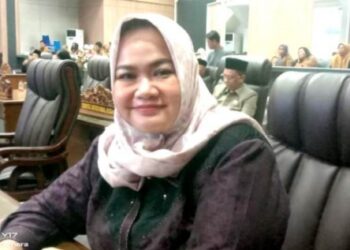 Anggota DPRD Kabupaten Barito Utara, Wardatun Nur Jamilah.