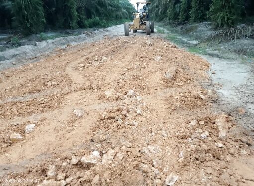 Proses penimbunan jalan poros PT ISA I di Kecamatan Paju Epat yang diduga menggunakan material bermasalah pada bulan Agustus 2025 silam. (Ist)