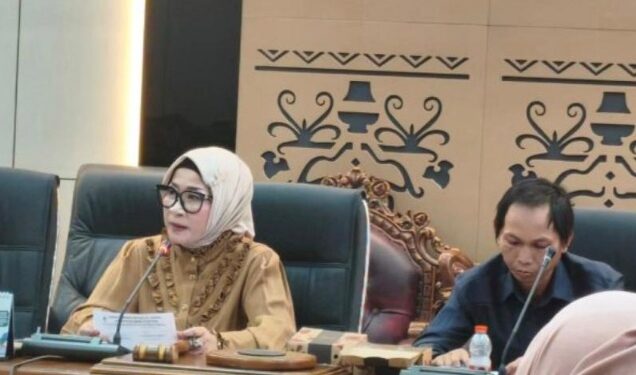 Ketua Komisi I DPRD Barito Utara, Hj. Nety Herawati, saat menyampaikan masukkan terhadap PAUD anak berkebutuhan khusus dalam RDP, Selasa (7/4/2026).