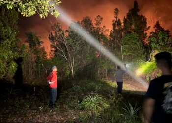 4 Hektare Lahan Terbakar di Bambulung, Polisi Selidiki Pemicu Api