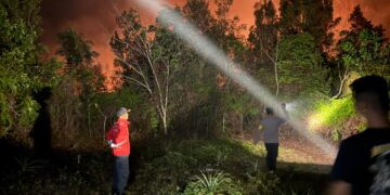 4 Hektare Lahan Terbakar di Bambulung, Polisi Selidiki Pemicu Api