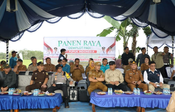 Wagub Kalteng, Edy Pratowo, menghadiri acara Panen Raya Demplot Padi di Pulang Pisau, Selasa (10/2/2026).