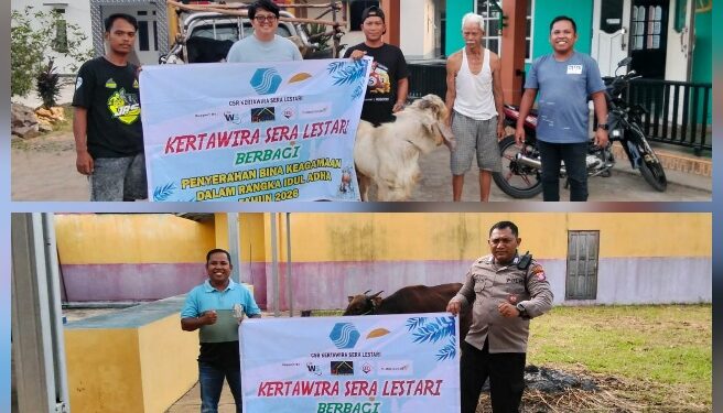 Penyerahan hewan kurban oleh manajemen PT KSL untuk masyarakat, Selasa (26/5/2026).