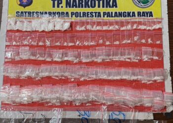 Barang bukti yang diamankan dari tangan AA (35).