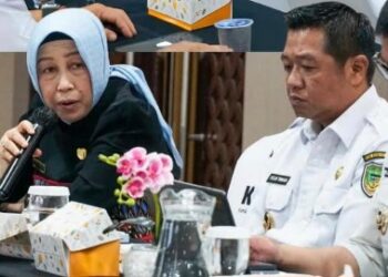 Ketua DPRD Barito Utara, Hj. Merry Rukaini, mengikuti rapat bersama KPK, Rabu (13/5/2026).