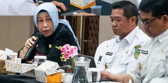 Ketua DPRD Barito Utara, Hj. Merry Rukaini, mengikuti rapat bersama KPK, Rabu (13/5/2026).