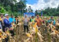 Kapolres Bartim AKBP Eddy Santoso, dalam panen pakan ternak di Desa Kalamus, Sabtu (16/5/2026).