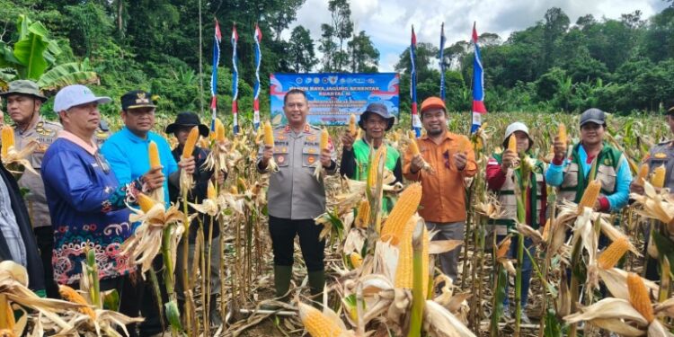 Kapolres Bartim AKBP Eddy Santoso, dalam panen pakan ternak di Desa Kalamus, Sabtu (16/5/2026).