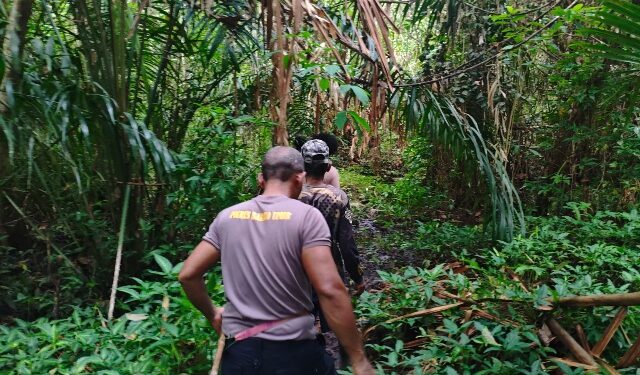 Tim gabungan yang melakukan pencarian lansia hilang di hutan sekitar Desa Wuran, Minggu (17/5/2026).